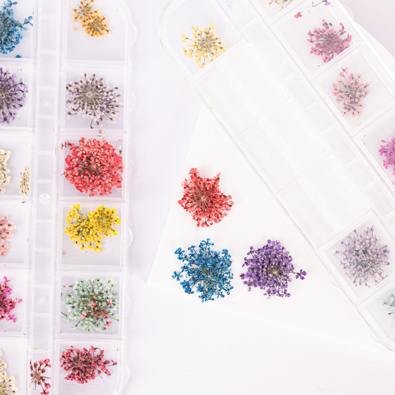 FLORES SECAS - DECORACIÓN PARA UÑAS