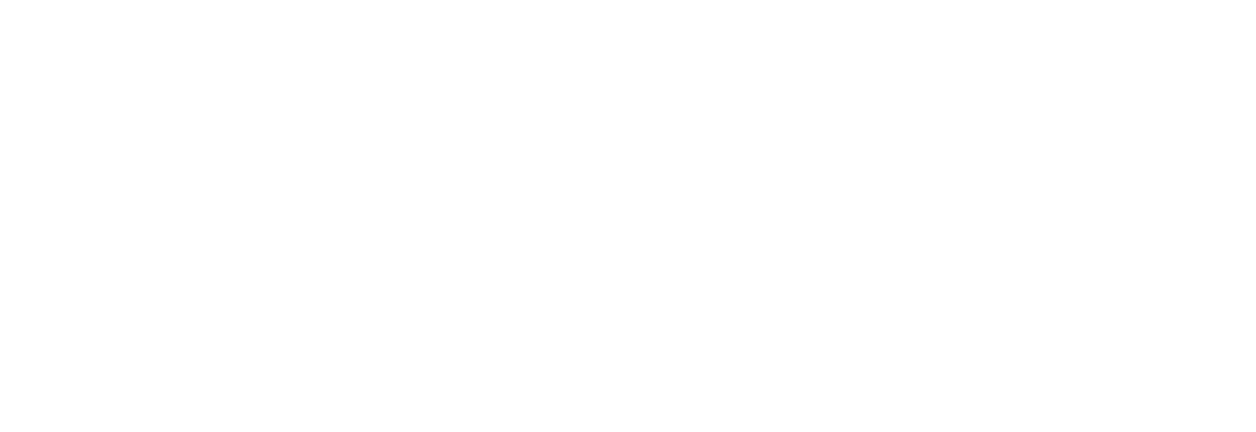 ZATYS_LOGOTIPO_BLANCO